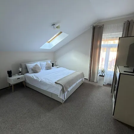 Enjoy - Nest Under The Sky *