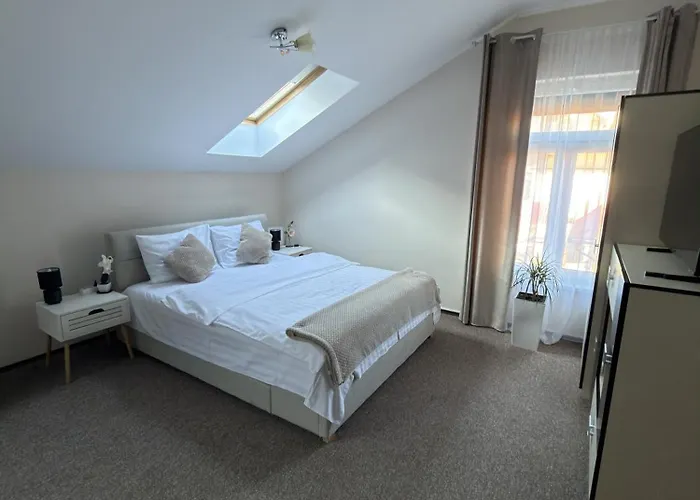 Enjoy - Nest Under The Sky *